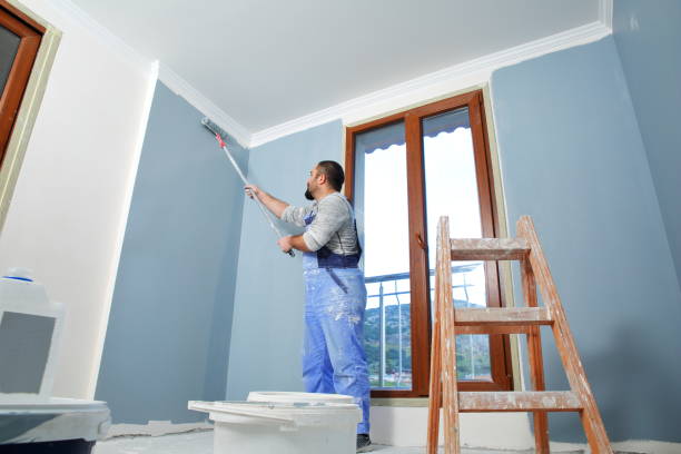 Forensic Mold Investigation in Riverside, UT